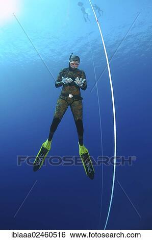 "Freediver, Mediterranean Sea, Kas, Kas, Turkey, Asia" View Large Photo Image Stock Photograph - "Freediver, Mediterranean Sea, Kas, Kas, Turkey, Asia". Fotosearch