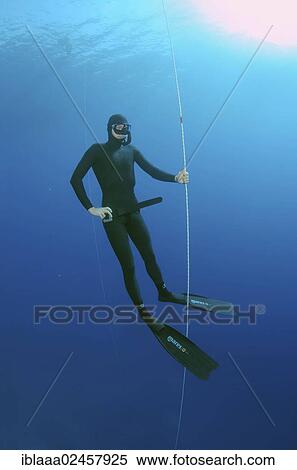 "Freediver, Mediterranean Sea, Kas, Kas, Turkey, Asia" View Large Photo Image Stock Photography - "Freediver, Mediterranean Sea, Kas, Kas, Turkey, Asia". Fotosearch