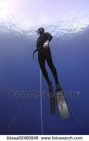 "Freediver, Mediterranean Sea, Kash, Turkey, Asia" View Large Photo Image Stock Photograph - "Freediver, Mediterranean Sea, Kash, Turkey, Asia". Fotosearch
