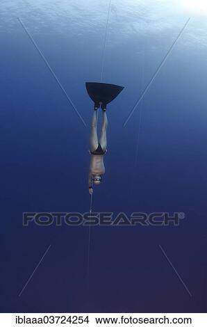 "Freediver swimming along a rope, Kas, Lycia, Province of Antalya, Turkey, Asia" View Large Photo Image Picture - "Freediver swimming along a rope, Kas, Lycia, Province of Antalya, Turkey, Asia". Fotosearch