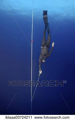 "Freediver swimming along a rope, Kas, Lycia, Province of Antalya, Turkey, Asia" View Large Photo Image Stock Image - "Freediver swimming along a rope, Kas, Lycia, Province of Antalya, Turkey, Asia". Fotosearch