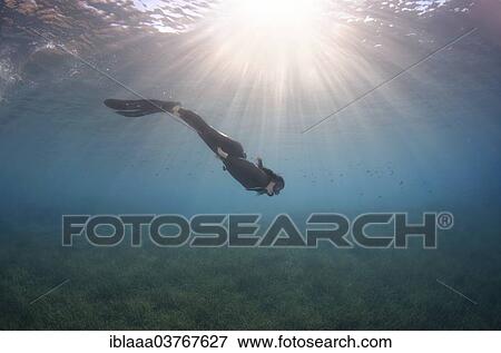"Freediver, Symi, Aegean Sea, Greece, Europe" View Large Photo Image Stock Photo - "Freediver, Symi, Aegean Sea, Greece, Europe". Fotosearch