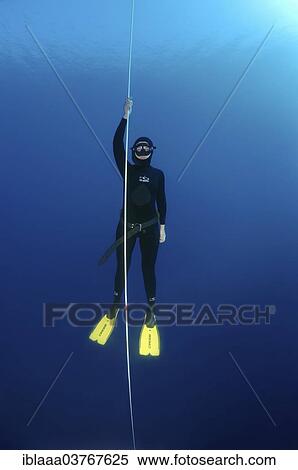 "Freediver, Symi, Aegean Sea, Greece, Europe" View Large Photo Image Stock Photography - "Freediver, Symi, Aegean Sea, Greece, Europe". Fotosearch