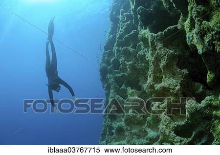 "Freediver, Symi, Aegean Sea, Greece, Europe" View Large Photo Image Stock Photography - "Freediver, Symi, Aegean Sea, Greece, Europe". Fotosearch