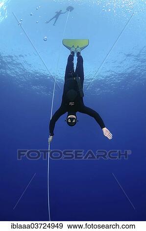 "Freediver wearing a monofin, Mediterranean Sea, Kas, Lycia, Province of Antalya, Turkey, Asia" View Large Photo Image Stock Photo - "Freediver wearing a monofin, Mediterranean Sea, Kas, Lycia, Province of Antalya, Turkey, Asia". Fotosearch