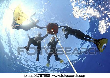 "Freedivers, Aegean Sea, Greece, Europe" View Large Photo Image Stock Photo - "Freedivers, Aegean Sea, Greece, Europe". Fotosearch