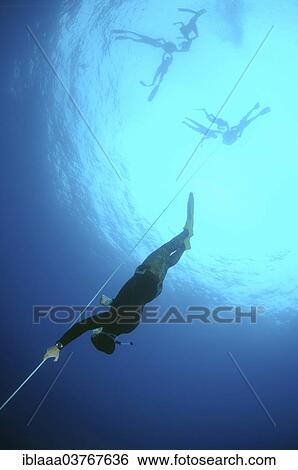 Stock Photograph - "Freedivers, Aegean Sea, Greece, Europe". Fotosearch