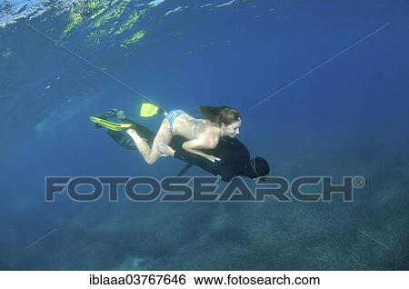 "Freedivers, Aegean Sea, Greece, Europe" View Large Photo Image Stock Photograph - "Freedivers, Aegean Sea, Greece, Europe". Fotosearch