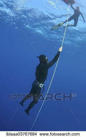 "Freedivers, Aegean Sea, Symi, Greece, Europe" View Large Photo Image Picture - "Freedivers, Aegean Sea, Symi, Greece, Europe". Fotosearch