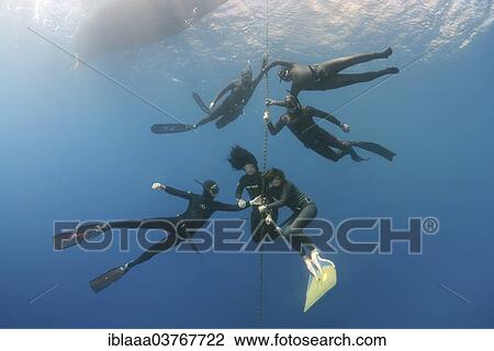 "Freedivers, Aegean Sea, Symi, Greece, Europe" View Large Photo Image Stock Image - "Freedivers, Aegean Sea, Symi, Greece, Europe". Fotosearch