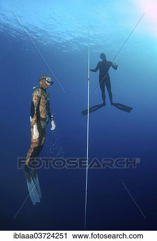 Stock Image - "Freedivers swimming along a rope, Kas, Lycia, Province of Antalya, Turkey, Asia". Fotosearch