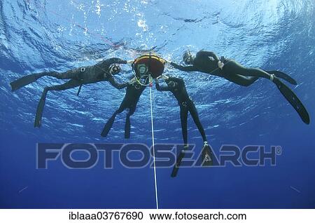 "Freedivers, Symi, Aegean Sea, Greece, Europe" View Large Photo Image Stock Image - "Freedivers, Symi, Aegean Sea, Greece, Europe". Fotosearch