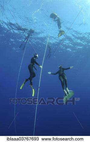 "Freedivers, Symi, Aegean Sea, Greece, Europe" View Large Photo Image Stock Image - "Freedivers, Symi, Aegean Sea, Greece, Europe". Fotosearch