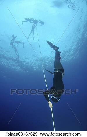"Freedivers, Symi, Aegean Sea, Greece, Europe" View Large Photo Image Stock Photo - "Freedivers, Symi, Aegean Sea, Greece, Europe". Fotosearch