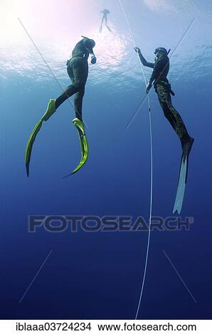 Picture - "Freedivers wearing swimfins, Kas, Lycia, Province of Antalya, Turkey, Asia". Fotosearch
