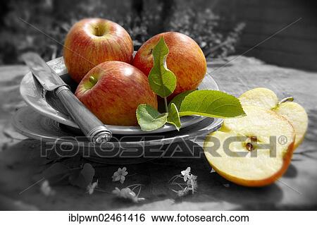 Fresh apples View Large Photo Image Stock Photograph - Fresh apples. Fotosearch