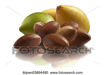 Stock Image - "Fresh Argan nuts (Argania spinosa), peeled and unpeeled". Fotosearch