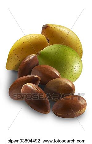 Stock Image - "Fresh Argan nuts (Argania spinosa), peeled and unpeeled". Fotosearch