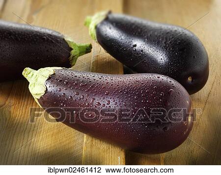 Fresh aubergines View Large Photo Image Stock Image - Fresh aubergines. Fotosearch