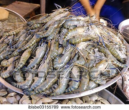 "Fresh blue shrimps at the fish market, Thai food, Bangkok, Central Thailand, Thailand, Asia" View Large Photo Image Stock Photo - "Fresh blue shrimps at the fish market, Thai food, Bangkok, Central Thailand, Thailand, Asia". Fotosearch