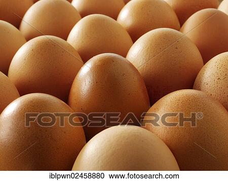 Stock Image - Fresh brown free range eggs. Fotosearch