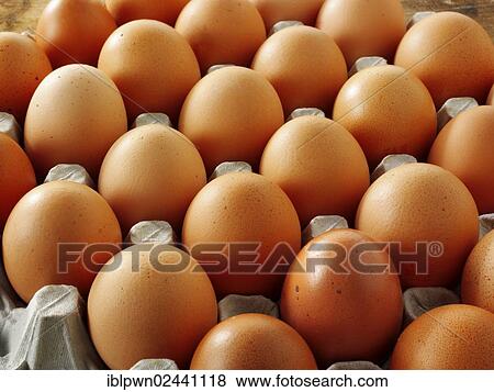 Stock Photo - Fresh brown free range eggs. Fotosearch