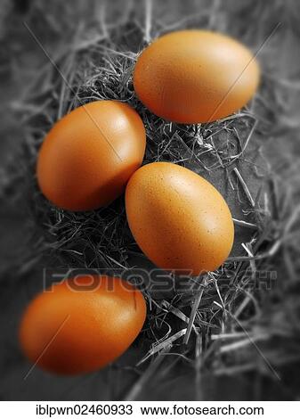 Stock Image - Fresh brown organic free-range eggs. Fotosearch