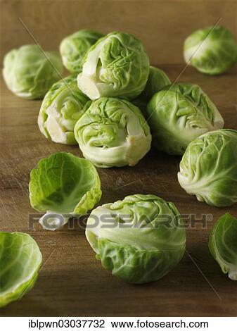 Fresh Brussels sprouts View Large Photo Image Stock Image - Fresh Brussels sprouts. Fotosearch