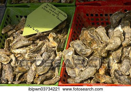 "Fresh Cancale oysters for sale, Cancale, Brittany, France, Europe" View Large Photo Image Stock Image - "Fresh Cancale oysters for sale, Cancale, Brittany, France, Europe". Fotosearch