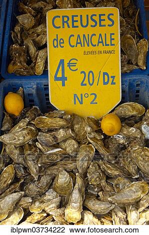 Stock Image - "Fresh Cancale oysters for sale, Cancale, Brittany, France, Europe". Fotosearch
