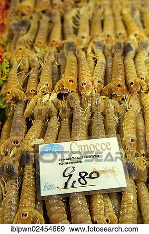 Stock Photo - "Fresh Canocce prawns, Rialto fish market, Venice, Italy, Europe". Fotosearch