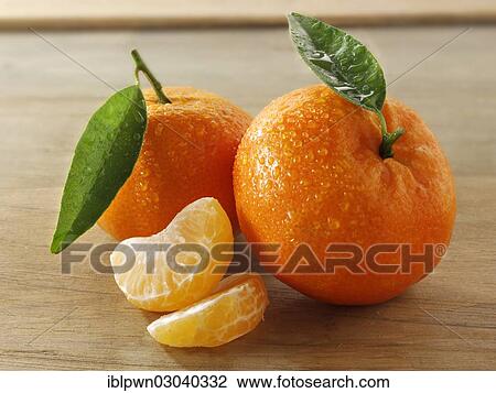 Fresh clementines with leaves View Large Photo Image Stock Image - Fresh clementines with leaves. Fotosearch