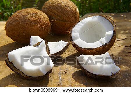 Stock Image - Fresh coconuts. Fotosearch