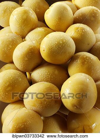 Fresh dates View Large Photo Image Stock Image - Fresh dates. Fotosearch