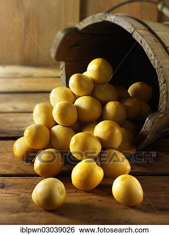 Stock Photograph - Fresh dates. Fotosearch