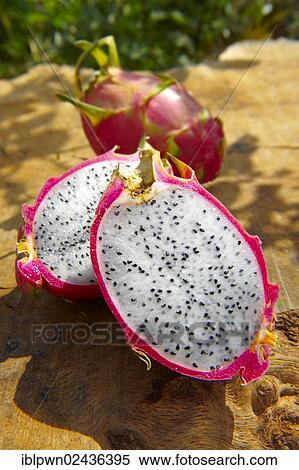 "Fresh dragon fruit (Hylocereus undatus), sliced" View Large Photo Image Stock Photography - "Fresh dragon fruit (Hylocereus undatus), sliced". Fotosearch