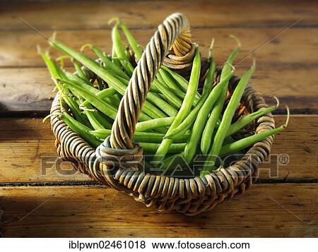 Fresh fine green beans View Large Photo Image Stock Photo - Fresh fine green beans. Fotosearch