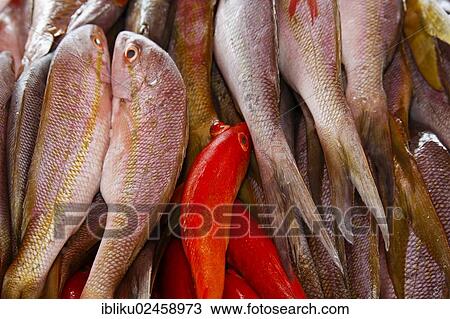 Stock Image - "Fresh fish on sale at a fish market in Pointe a Pitre, Guadeloupe, Caribbean, Lesser Antilles, North America". Fotosearch