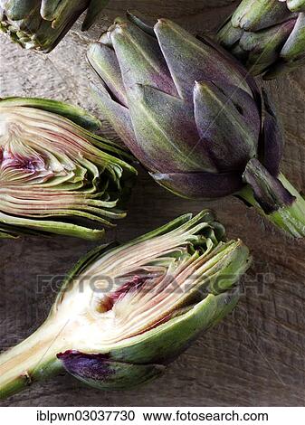Fresh Globe artichokes (Cynara cardunculus) View Large Photo Image Stock Image - Fresh Globe artichokes (Cynara cardunculus). Fotosearch