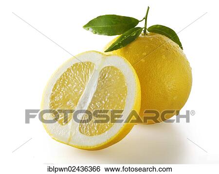 Stock Photograph - "Fresh grapefruit with leaves, a cut and a whole fruit". Fotosearch