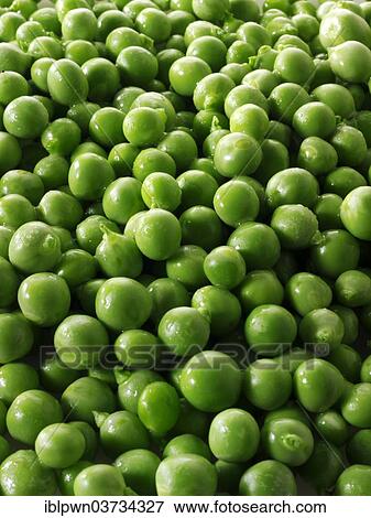 Stock Photo - Fresh green peas. Fotosearch