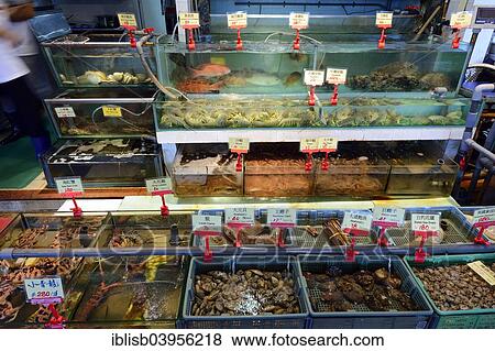 "Fresh, live marine animals and fish, seafood restaurant, Lamma Island, Hong Kong, China, Asia" View Large Photo Image Stock Photo - "Fresh, live marine animals and fish, seafood restaurant, Lamma Island, Hong Kong, China, Asia". Fotosearch