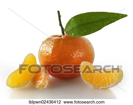 Stock Image - Fresh mandarin. Fotosearch