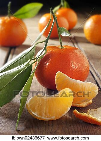 Fresh Mandarins View Large Photo Image Stock Photo - Fresh Mandarins. Fotosearch
