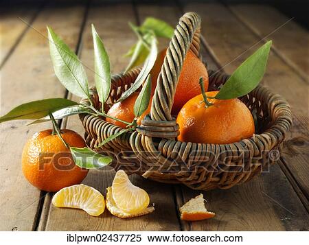 Fresh mandarins with leaves in a basket View Large Photo Image Stock Photography - Fresh mandarins with leaves in a basket. Fotosearch