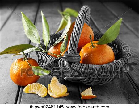 Fresh mandarins with leaves in a basket View Large Photo Image Stock Photography - Fresh mandarins with leaves in a basket. Fotosearch
