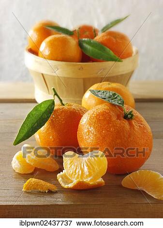 Fresh mandarins with leaves View Large Photo Image Stock Photo - Fresh mandarins with leaves. Fotosearch