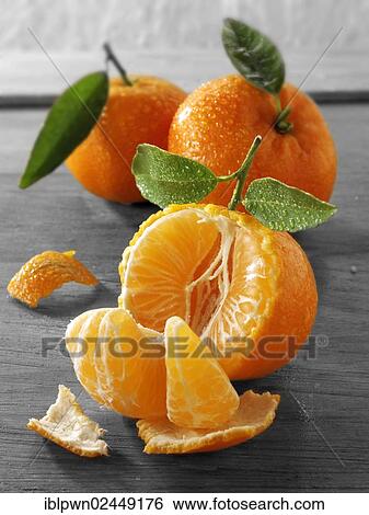 Fresh mandarins with leaves View Large Photo Image Stock Photograph - Fresh mandarins with leaves. Fotosearch