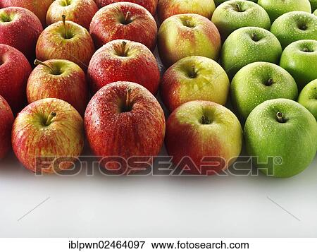 Fresh mixed apples View Large Photo Image Stock Photo - Fresh mixed apples. Fotosearch