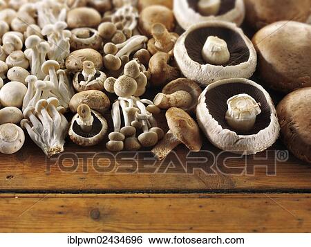 Stock Photograph - Fresh mixed whole mushrooms. Fotosearch